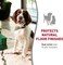 Nature's Miracle® - Hard Floor Cleaner, Dual-Action Stain & Odor Remover, Protects Natural Floor Finishes, 24 oz